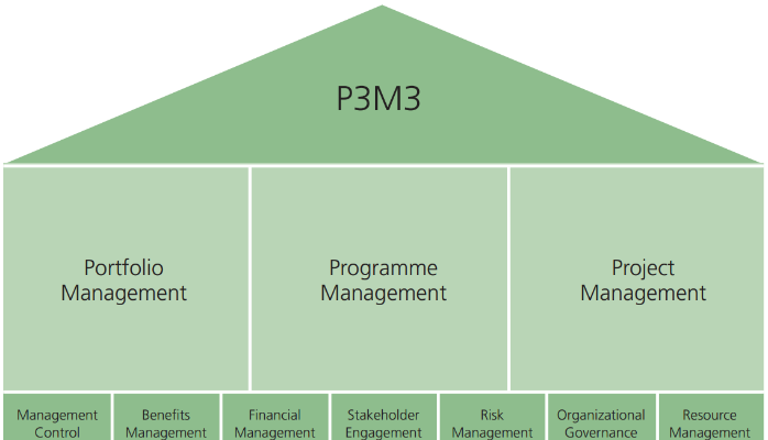 The structure of P3M3